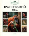 Мир дикой природы. Тропический лес