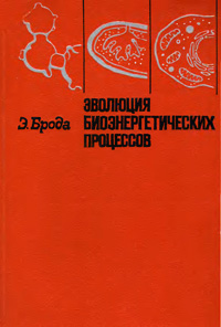 Эволюция биоэнергетических процессов