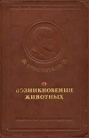 О возникновении животных