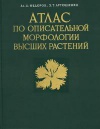 Атлас по описательной морфологии высших растений. Цветок