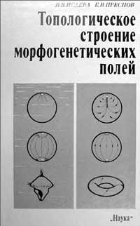 Топологическое строение морфогенетических полей