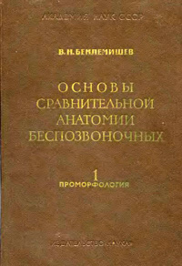 Основы сравнительной анатомии беспозвоночных. Проморфология