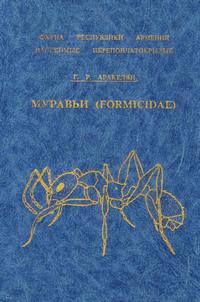 Муравьи (Formicidae)