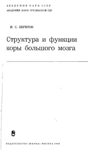 Структура и функции коры большого мозга