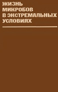 Жизнь микробов в экстремальных условиях