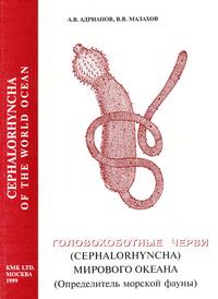 Головохоботные черви (Cephalorhyncha) Мирового Океана (Определитель морской фауны)