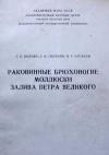 Раковинные брюхоногие моллюски залива Петра Великого