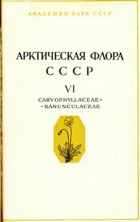 Арктическая флора СССР. Выпуск 6