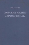 Морские лилии циртокриниды